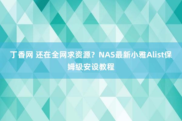 丁香网 还在全网求资源？NAS最新小雅Alist保姆级安设教程