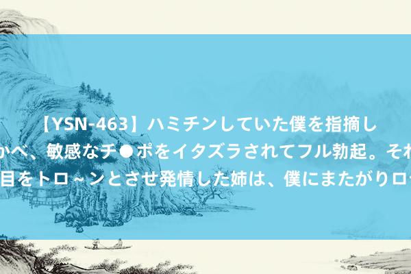 【YSN-463】ハミチンしていた僕を指摘しながらも含み笑いを浮かべ、敏感なチ●ポをイタズラされてフル勃起。それを見て目をトロ～ンとさせ発情した姉は、僕にまたがりロデオする。 电脑的重装与密码吊销