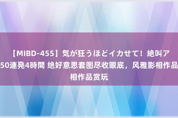 【MIBD-455】気が狂うほどイカせて！絶叫アクメ50連発4時間 绝好意思套图尽收眼底，风雅影相作品赏玩