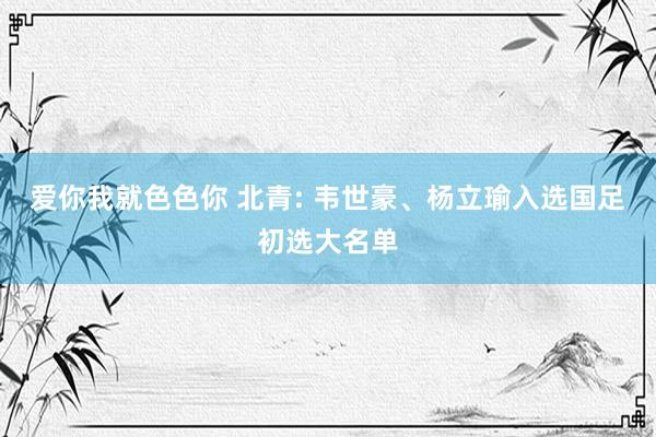 爱你我就色色你 北青: 韦世豪、杨立瑜入选国足初选大名单