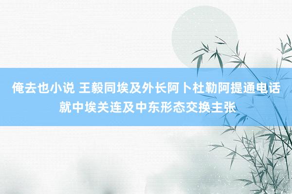 俺去也小说 王毅同埃及外长阿卜杜勒阿提通电话 就中埃关连及中东形态交换主张