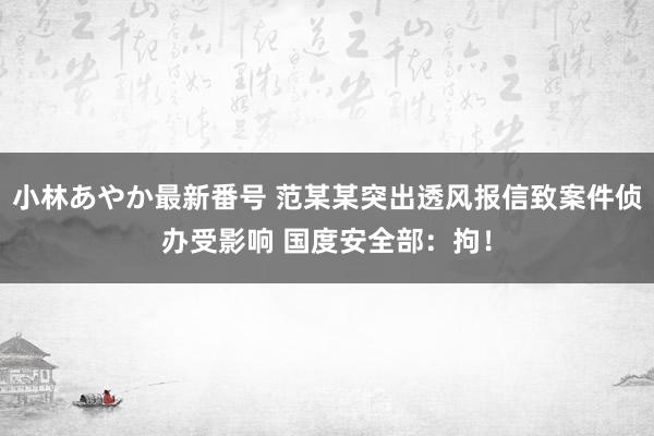 小林あやか最新番号 范某某突出透风报信致案件侦办受影响 国度安全部：拘！