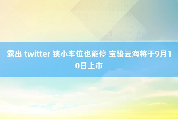 露出 twitter 狭小车位也能停 宝骏云海将于9月10日上市