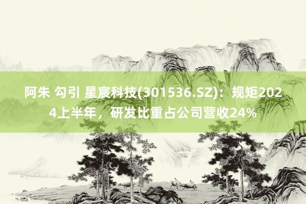 阿朱 勾引 星宸科技(301536.SZ)：规矩2024上半年，研发比重占公司营收24%