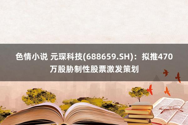 色情小说 元琛科技(688659.SH)：拟推470万股胁制性股票激发策划