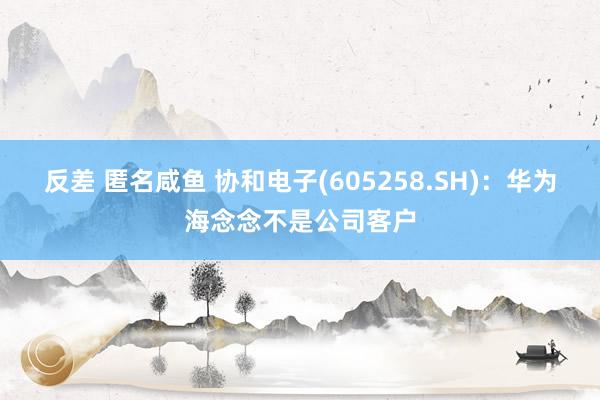 反差 匿名咸鱼 协和电子(605258.SH)：华为海念念不是公司客户