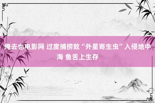 俺去也电影网 过度捕捞致“外星寄生虫”入侵地中海 鱼舌上生存