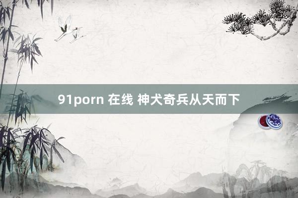 91porn 在线 神犬奇兵从天而下