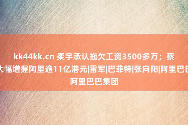 kk44kk.cn 柔宇承认拖欠工资3500多万；蔡崇信大幅增握阿里逾11亿港元|雷军|巴菲特|张向阳|阿里巴巴集团