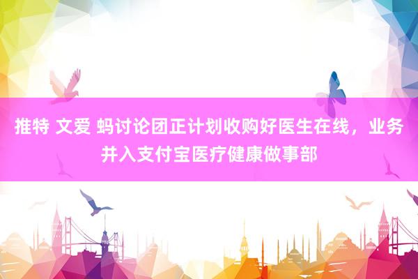 推特 文爱 蚂讨论团正计划收购好医生在线，业务并入支付宝医疗健康做事部