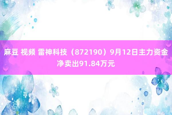 麻豆 视频 雷神科技（872190）9月12日主力资金净卖出91.84万元